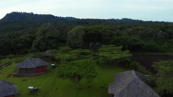 Αεροφωτογραφία Του Δάσους Μαγκρόβια Και Ποτάμι Στην Τανζανία Mangrove Ζούγκλες — Αρχείο Βίντεο