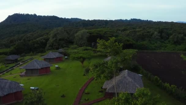 Luchtfoto Van Mangrove Bos Rivier Tanzania Mangrove Jungles Bomen Rivier — Stockvideo