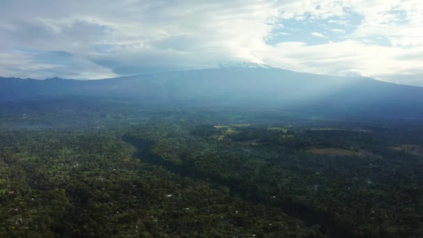 Flygfoto Mangrove Skog Och Flod Tanzania Mangrove Djungler Träd Flod — Stockvideo