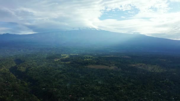 Vista Aérea Del Bosque Manglares Río Tanzania Selvas Manglares Árboles — Vídeos de Stock