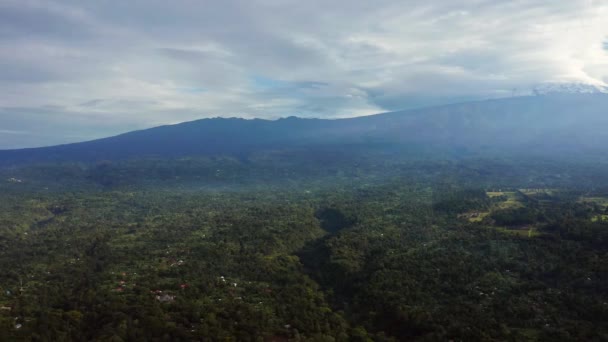 Vue aérienne de la forêt de mangroves et de la rivière en Tanzanie Jungles de mangroves, arbres, rivière. Près du Mont. Kilimandjaro .