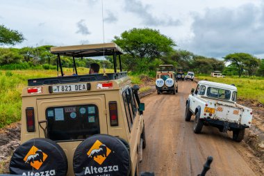 Tanzanya, Kilimanjaro. Mart 05, 2020. Çatı 4x4 safari cipleri Tanzanya 'da Afrika vahşi yaşam safarisinde.