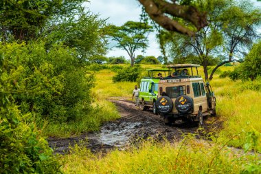 Tanzanya, Kilimanjaro. Mart 05, 2020. Çatı 4x4 safari cipleri Tanzanya 'da Afrika vahşi yaşam safarisinde.