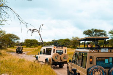 Tanzanya, Kilimanjaro. Mart 05, 2020. Çatı 4x4 safari cipleri Tanzanya 'da Afrika vahşi yaşam safarisinde.
