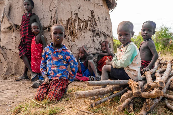 坦桑尼亚 乞力马扎罗岛 2020年3月10日 非洲大草原上的马赛儿童 坦桑尼亚 — 图库照片