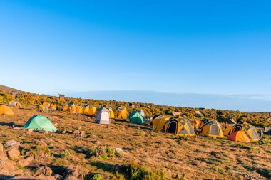 Kilimanjaro Dağı 'ndaki çadırlarda kamp kurarak Tanzanya' daki buzulları, Uhuru Tepesi 'ne giden Afrika portakal çadırlarını görmek için..