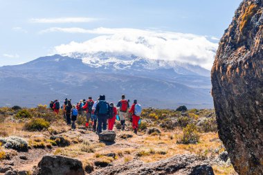Kilimanjaro, Tanzanya - 15 Mart 2020: Kafalarında eşya taşıyan ve Kilimanjaro Dağı 'na tırmanan Afrikalı hamallar