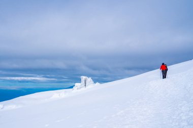 Kilimanjaro dağının karları ve kayaları arasında yürüyüş yapan bir grup yürüyüşçü.