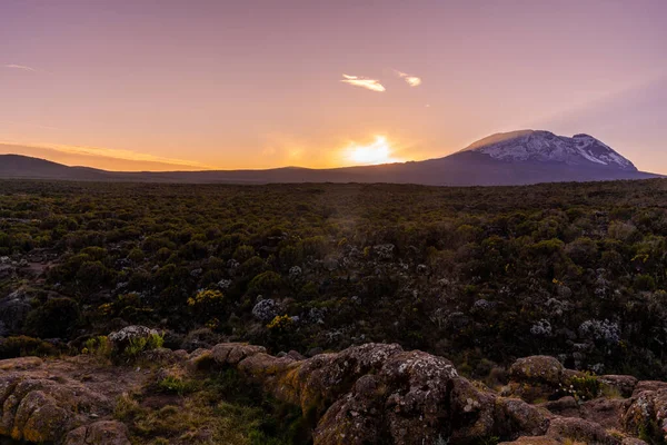 Beautiful Landscape Tanzania Kenya Kilimanjaro Mountain Rocks Bushes Empty Volcanic — Stock Photo, Image