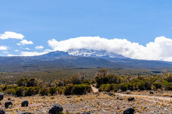 Beautiful Landscape Tanzania Kenya Kilimanjaro Mountain Rocks Bushes Empty Volcanic — Stock Photo, Image