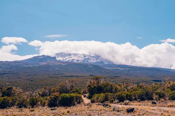 Όμορφο Τοπίο Του Ηφαιστείου Kilimanjaro Στην Τανζανία Πέτρες Θάμνοι Και — Φωτογραφία Αρχείου