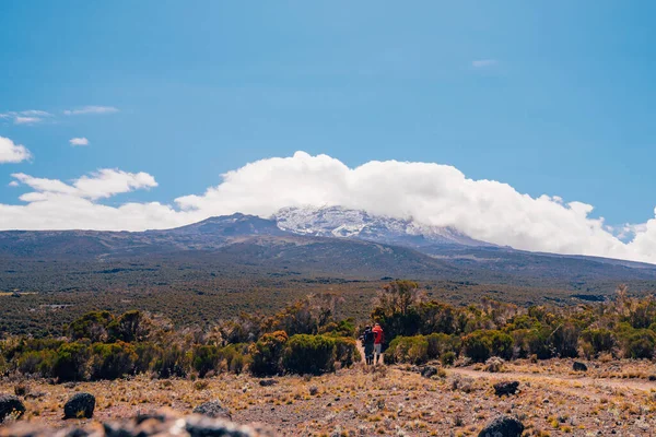Beautiful Landscape Tanzania Kenya Kilimanjaro Mountain Rocks Bushes Empty Volcanic — Stock Photo, Image