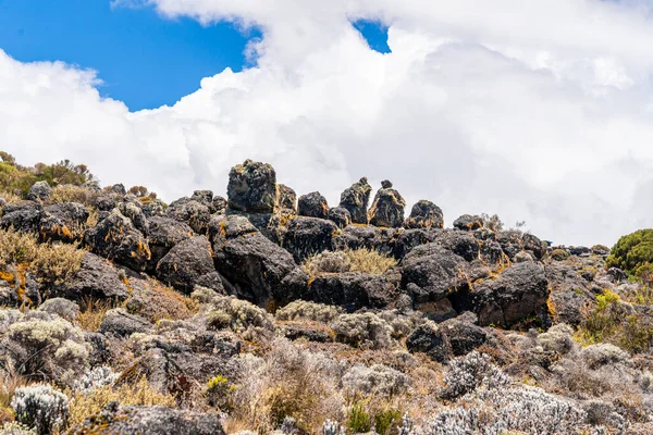 Beautiful Landscape Tanzania Kenya Kilimanjaro Mountain Rocks Bushes Empty Volcanic — Stock Photo, Image