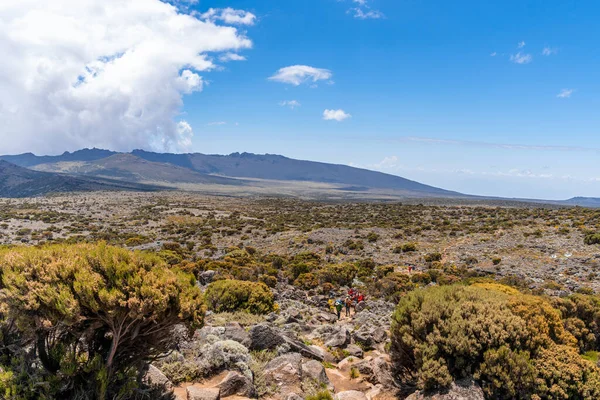Beautiful Landscape Tanzania Kenya Kilimanjaro Mountain Rocks Bushes Empty Volcanic — Stock Photo, Image