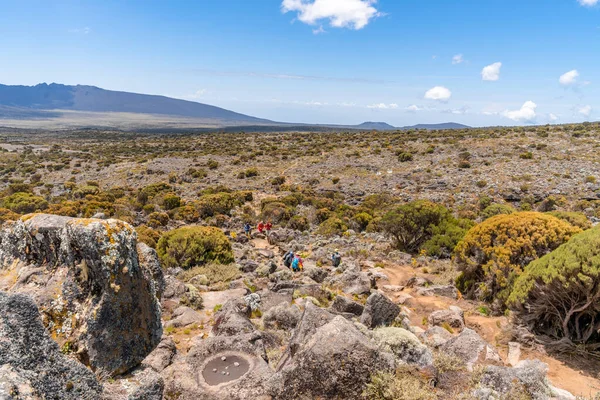 Beautiful Landscape Tanzania Kenya Kilimanjaro Mountain Rocks Bushes Empty Volcanic — Stock Photo, Image