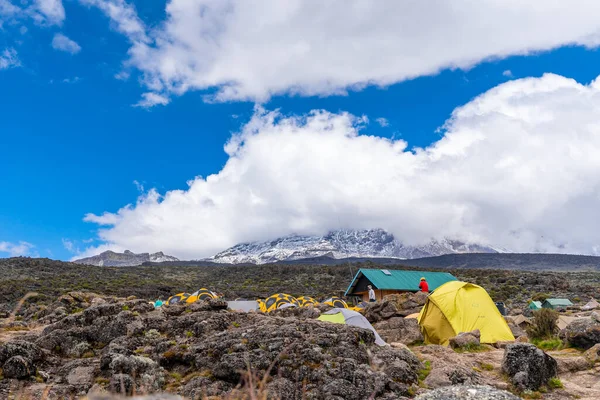 Camping Mount Kilimanjaro Tents See Glaciers Tanzania Africa Orange Tents — Stock Photo, Image