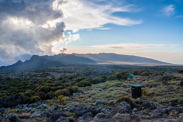 Красивый Пейзаж Танзании Кении Горы Килиманджаро Камни Кусты Пустынная Вулканическая — стоковое фото