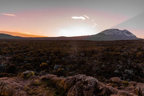 Beautiful Landscape Tanzania Kenya Kilimanjaro Mountain Rocks Bushes Empty Volcanic — Stock Photo, Image