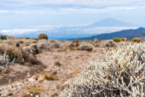 Beautiful Landscape Tanzania Kenya Kilimanjaro Mountain Rocks Bushes Empty Volcanic — Stock Photo, Image