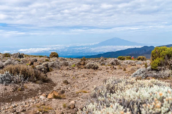 Beautiful Landscape Tanzania Kenya Kilimanjaro Mountain Rocks Bushes Empty Volcanic — Stock Photo, Image