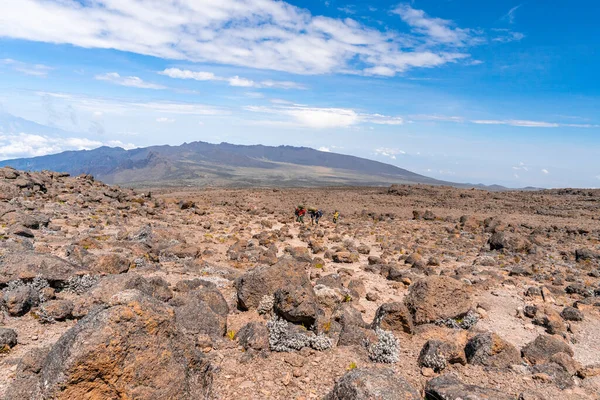 Wunderschöne Landschaft Tansanias Und Kenias Vom Kilimandscharo Aus Felsen Büsche — Stockfoto