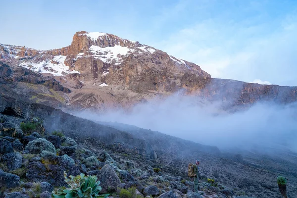 Beautiful Landscape Tanzania Kenya Kilimanjaro Mountain Rocks Bushes Empty Volcanic — Stock Photo, Image