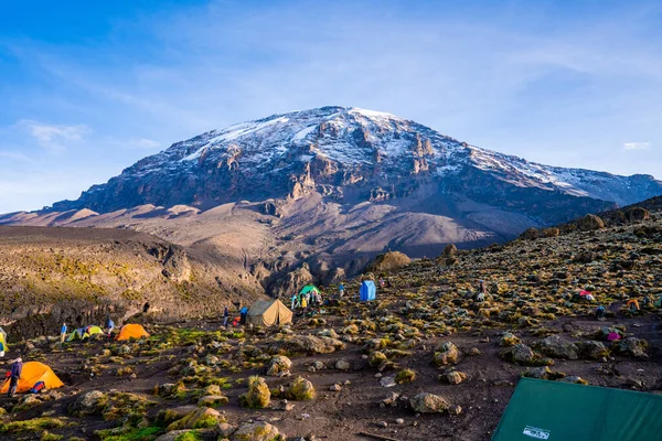 Camping Mount Kilimanjaro Tents See Glaciers Tanzania Africa Orange Tents — Stock Photo, Image