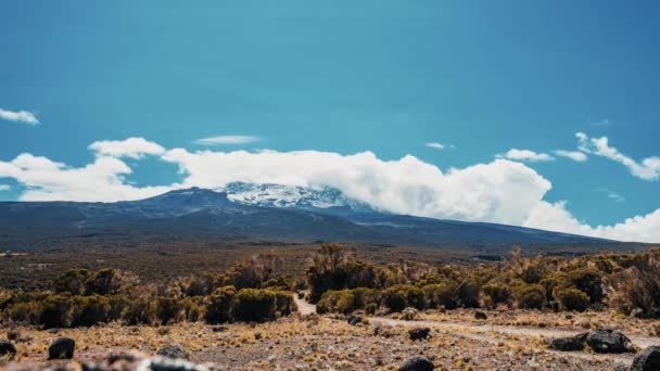 Timelapse Vista Kibo Con Uhuru Peak 5895M Montagna Più Alta — Video Stock