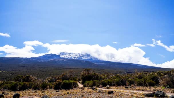 Timelapse Vista Kibo Con Uhuru Peak 5895M Montagna Più Alta — Video Stock