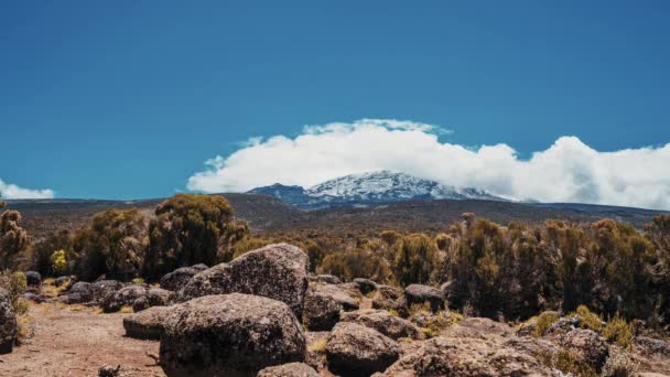 基里马扎罗山国家公园基里马扎罗山与乌胡鲁峰 5895米 非洲最高的山 的时间推移视图 美丽的风景 云彩飘扬在火山之上 — 图库视频影像