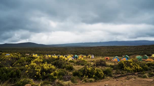Postavené Stany Táboří Úpatí Hory Kilimandžáro Krásný Časový Pohled Mraky — Stock video