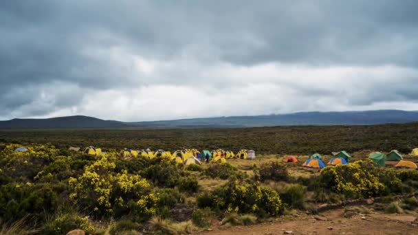 Carpas Acampadas Base Del Monte Kilimanjaro Hermosa Vista Del Timelapse — Vídeo de stock