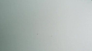 Pozitif ve Negatif Kapsamlı 19 Test ve Laboratuar Kan Numunesi