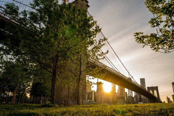 마법같은 브루클린 공원에서 가까운 브루클린 다리가 허드슨 건너편에 모습을 수있다 — 스톡 사진