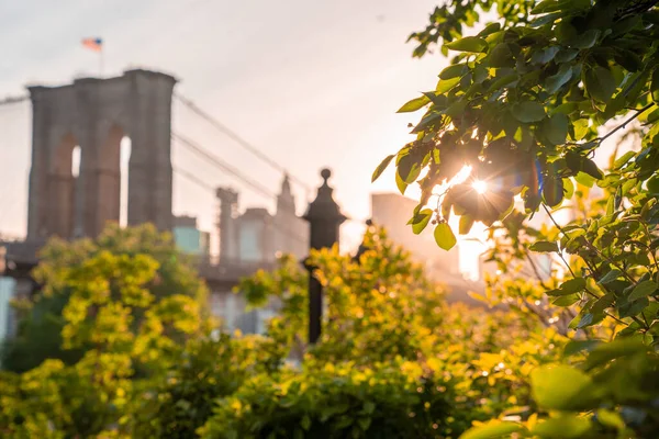 Mágica Vista Atardecer Del Puente Brooklyn Desde Parque Brooklyn Con — Foto de Stock