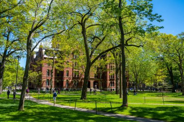 Cambridge 'deki Harvard Üniversitesi Tarihi Binası, Massachusetts, ABD.