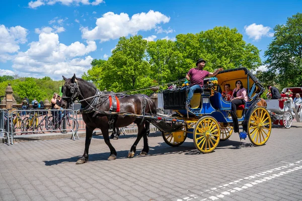 Нью Йорк Сша Мая 2019 Года Лошадь Коляска Кучером Центральном — стоковое фото