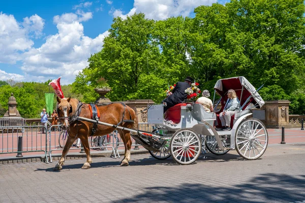 Нью Йорк Сша Мая 2019 Года Лошадь Коляска Кучером Центральном — стоковое фото