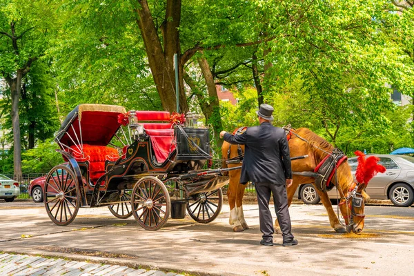 2019年5月20日 纽约市中央公园的一辆马车和一个马车夫 由于动物安全问题 搭便车有可能被禁止 — 图库照片