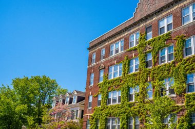 Cambridge 'deki Harvard Üniversitesi Kampüsü, Massachusetts, ABD.