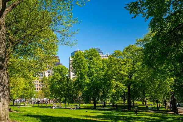 Boston Usa Maj 2019 Vacker Park Med Människor Kylning Solen — Stockfoto