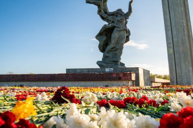 Riga, Letonya 'daki Zafer Parkı anıtı yakınlarındaki çiçeklerin yakın görüntüsü. Letonyalılar Letonya 'nın Riga kentindeki Zafer Günü' nde 
