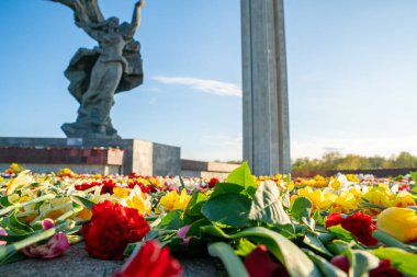 Riga, Letonya 'daki Zafer Parkı anıtı yakınlarındaki çiçeklerin yakın görüntüsü. Letonyalılar Letonya 'nın Riga kentindeki Zafer Günü' nde 