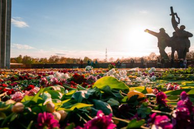 Riga, Letonya 'daki Zafer Parkı anıtı yakınlarındaki çiçeklerin yakın görüntüsü. Letonyalılar Letonya 'nın Riga kentindeki Zafer Günü' nde 