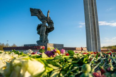 Riga, Letonya 'daki Zafer Parkı anıtı yakınlarındaki çiçeklerin yakın görüntüsü. Letonyalılar Letonya 'nın Riga kentindeki Zafer Günü' nde 