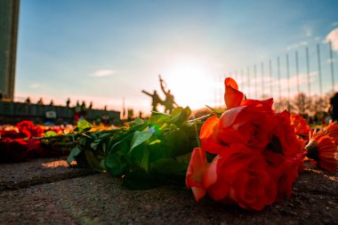 Riga, Letonya 'daki Zafer Parkı anıtı yakınlarındaki çiçeklerin yakın görüntüsü. Letonyalılar Letonya 'nın Riga kentindeki Zafer Günü' nde 