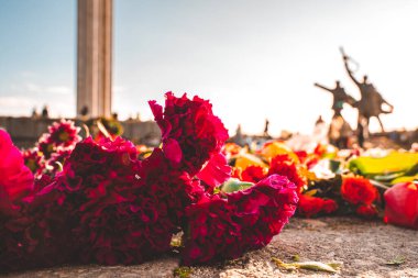 Riga, Letonya 'daki Zafer Parkı anıtı yakınlarındaki çiçeklerin yakın görüntüsü. Letonyalılar Letonya 'nın Riga kentindeki Zafer Günü' nde 