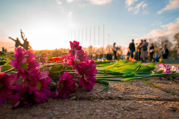 Close up view of the flowers near Victory park monument in Riga, Latvia. Latvians are taking part in procession called \