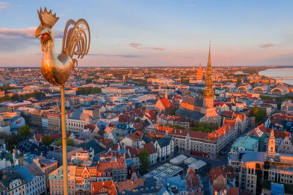 Hermosa Vista Del Gallo Oro Polla Sobre Casco Antiguo Riga — Foto de Stock