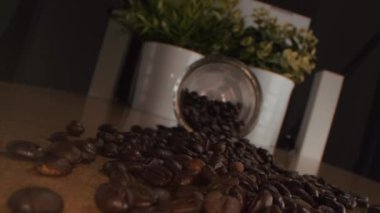 Kavrulmuş kahve çekirdekleri. Kavrulmuş kahve çekirdekleri yavaşça daireler çiziyor. Kavrulmuş kahve fasülyesi arka planı, üst manzara..